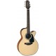 Takamine GX18CENS