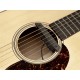 Fishman Rare Earth