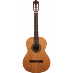 Prodipe Guitars By Altamira Recital 200