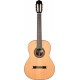 JM Forest By Altamira Recital 300