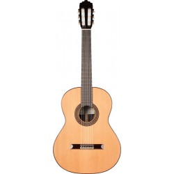 Prodipe Guitars By Altamira Recital 300