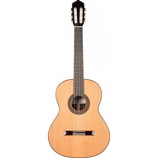 Prodipe Guitars Recital 300