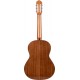 Prodipe Guitars By Altamira Recital 300