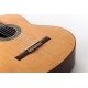 Prodipe Guitars By Altamira Recital 300