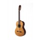 Prodipe Guitars By Altamira Recital 300