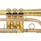 SML Paris CO50 Cornet