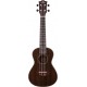 Prodipe Guitars BS220