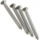 Fender Neck Mounting Screws