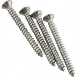 Fender Neck Mounting Screws