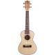 JM Forest BC25