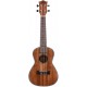 Prodipe Guitars BC2380 Ukulélé Koa