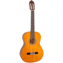 Valencia VC202 Classique 1/2