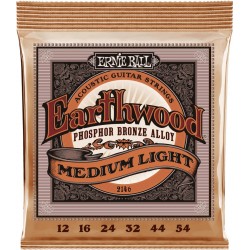 Ernie Ball 2146 Earthwood 12-54