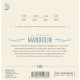 D'Addario EJ62 Mandoline Light