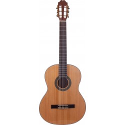 Prodipe Guitars Primera 3/4 Gaucher