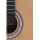 Prodipe Guitars Primera 3/4 Gaucher