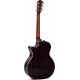 Sigma Guitars GTCE-2+