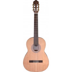 Prodipe Guitars Student 4/4 Gaucher