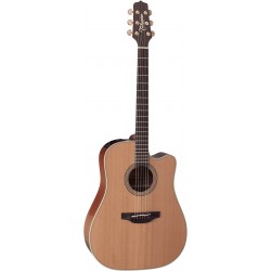 Takamine EN10C