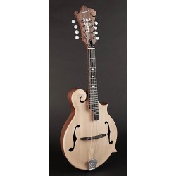 Richwood Master Series F-style Mandolin