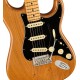 Fender American Professional II Stratocaster MN Roasted Pine