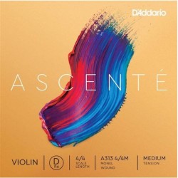 D'Addario A313 4/4M D Ascenté Violon