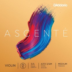 D'Addario A313 3/4M D Ascenté Violon