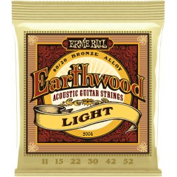 Ernie Ball 2004