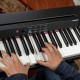 Alesis Prestige