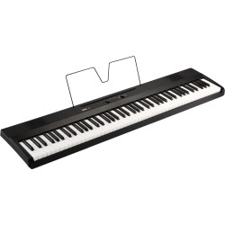 Korg L1 Liano