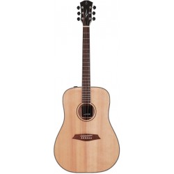 Larry Carlton A3 DS NAT