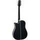 Takamine GD34CE-BLK