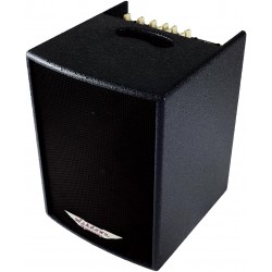 Ashdown AA-100