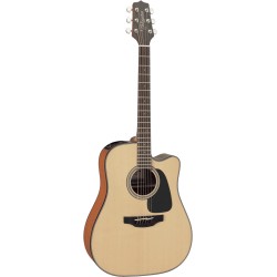 Takamine GD10CE-NS