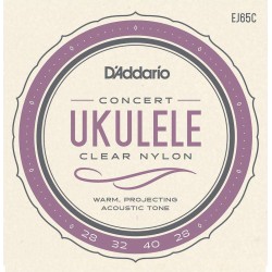 D'Addario EJ65C Ukulélé Concert