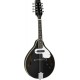 Tanglewood TWMTBKPE Mandoline