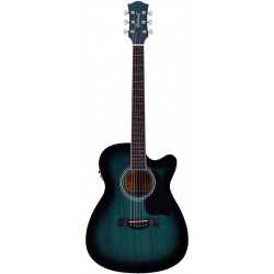 Richwood RA-12-CE BS