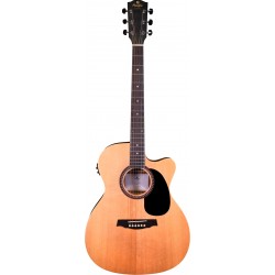 Prodipe Guitars SA25 CEQ