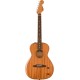 Fender Highway Series Parlor RW All-Mahogany