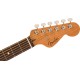 Fender Highway Series Parlor RW All-Mahogany