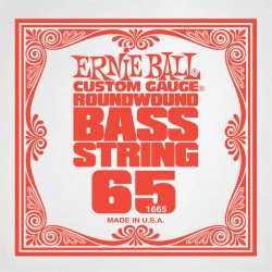 Ernie Ball .065