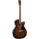 Art et lutherie Legacy CW Presys II Bourbon Burst