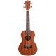 Prodipe Guitars BC210