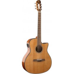 Prodipe Guitars SGA200 CEQ Kopo