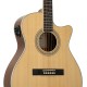 Prodipe Guitars SA150 CEQ