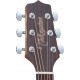 Takamine GD11MNS