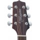 Takamine GN20CE-NS