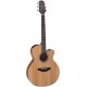 Takamine GN20CE-NS